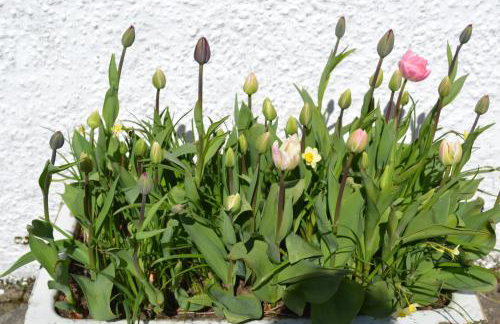 Oban Seil Farm - Photo 39