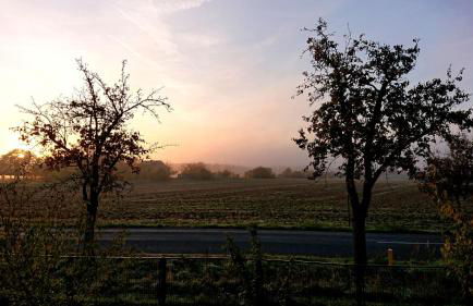 Ferienwohnung Butterbirne - Photo 13