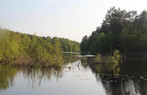 Holiday Flat in Kolczewo-70 qm for 6 Persons - Foto 38