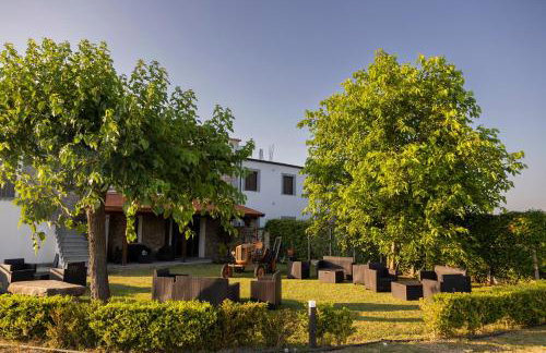 Agri Charme Tenuta Picilli - Foto 5