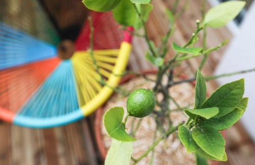 Brem sur mer - Maison familiale - Foto 39