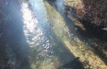 River side house - Foto 11