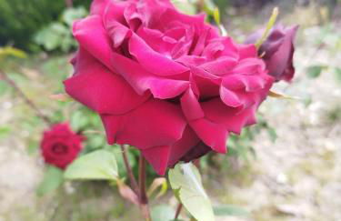 Casa Rural Vista Bella - Photo 15