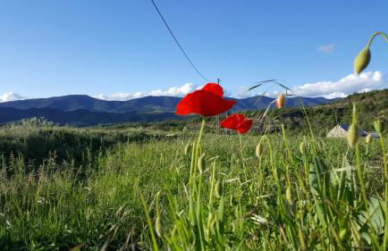 Casa Dorondón - Foto 5