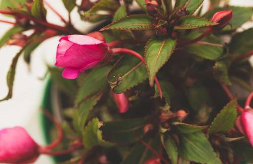 #06 Riverside Retreat Near the NEC fast WiFi - Foto 19