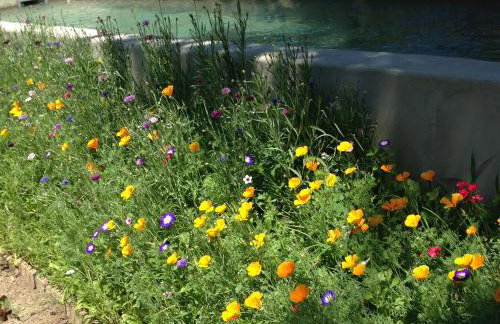 Cabane de la leque - Foto 29