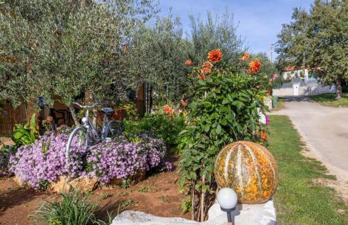 Apartment Petar in Begi - Foto 29