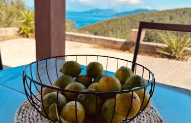 Milton holiday house - Foto 8