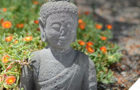 Cortijo Oro Verde B&B - Foto 46