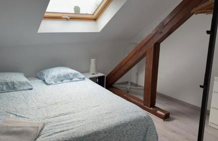 Le Manoir de Cyrielle à 10 min du centre de Strasbourg - Foto 68