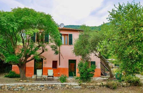 Country House With Big Garden - Photo 3