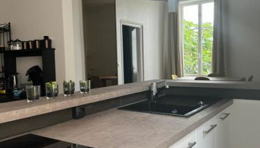 Superbe appartement Nancy Thermal - Foto 3