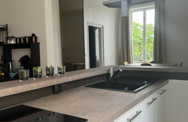 Superbe appartement Nancy Thermal - Foto 3