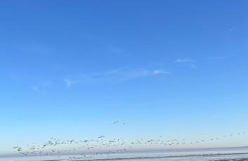 The Bird's Nest by Sheppey Stays- Pet Friendly Cozy Coastal Escape - Sleeps 6 with Parking - Great Rates for Long Stays - Photo 26