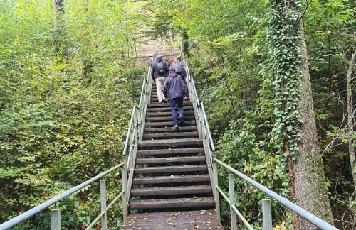 Ferienwohnung besonderer Art - Foto 51
