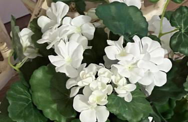 WONDERFUL APARTMENT IN THE HEART OF VALENCIA - Foto 28