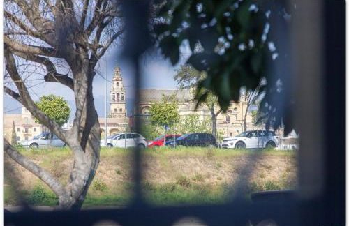 Apartamento Los Padrinos - Foto 10