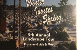 Popular Homestead! Location, Stargaze, Views! - Foto 4