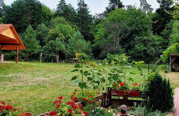 Agroturystyka Stara Huta - Foto 43