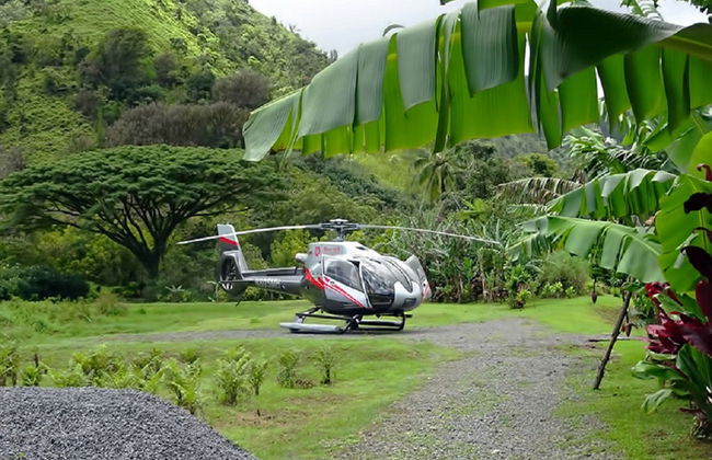 Experiência na Floresta Pluvial Hana - Foto 4