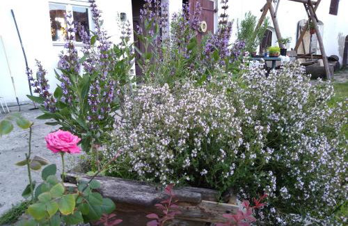 Agroturystyka Struzka - Foto 10