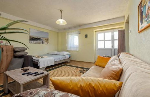 Gorgeous Home In Gornje Ceranje - Foto 32