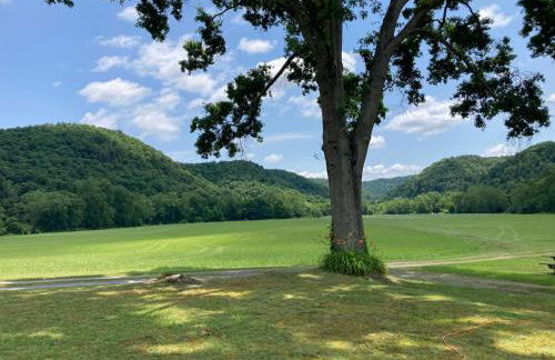 Historic cabin off I-77, views, antiques, Wi-fi, wonderful experience for 2! - Foto 46