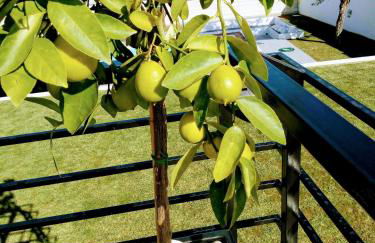 Torreguadiaro Villa - 2 mins walk from the bars and restaurants - Foto 53