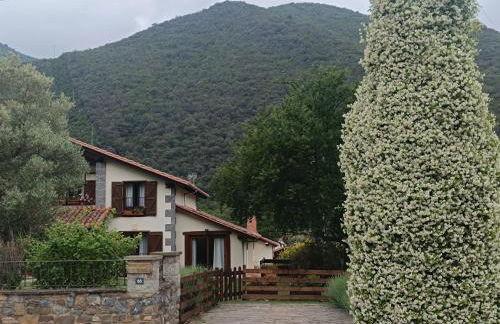 Apartamento El Olivo - Photo 45