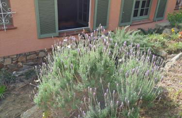 La Casa Celestial - Foto 53