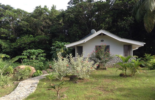 Citrus Creek Plantation - Photo 18