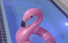 Recanto das Águias - Foto 1