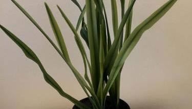 Luxury Cabin Rental by Lakefront near Cohasset, Minnesota - Foto 3