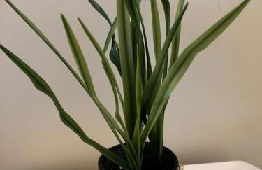 Luxury Cabin Rental by Lakefront near Cohasset, Minnesota - Foto 3