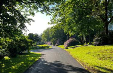 The Forest Cabin Holiday Home 15 - Foto 17