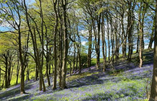 Plas yn iâl with stunning mountain views - Foto 21
