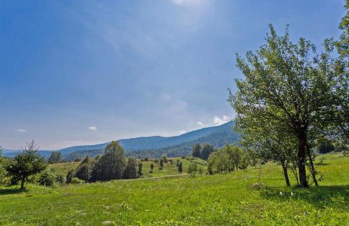 Andrea in Sertić Poljana - Haus für 6 Personen - Foto 9