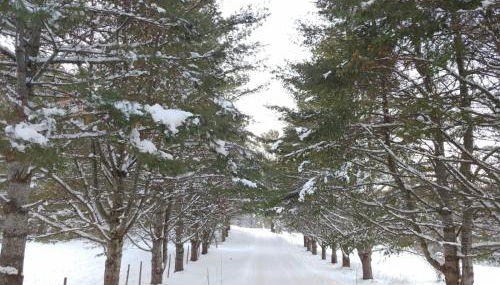 Spacious country retreat close to town and nature, Sylvana Farm VT - Foto 5