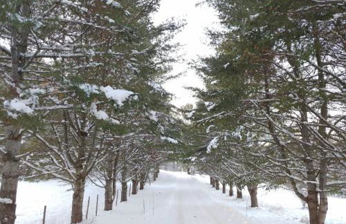 Spacious country retreat close to town and nature, Sylvana Farm VT - Foto 5