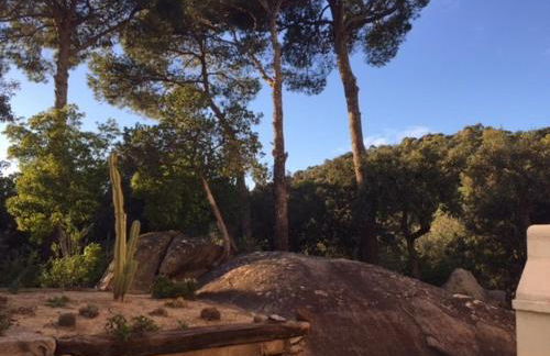 Casa Feliz - Foto 15