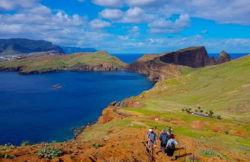 Casa da Bungavillia - Photo 5