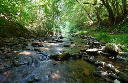 Luxury Cottage near Hay-on-Wye - Foto 16