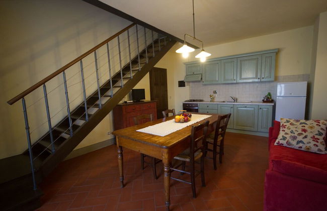 azienda agricola lo zolfino - Foto 33