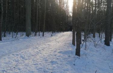 Apartament Przy Puszczy Białowieskiej - Foto 13