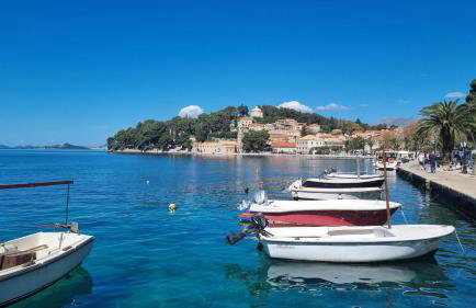 Floret Apartment - Foto 7