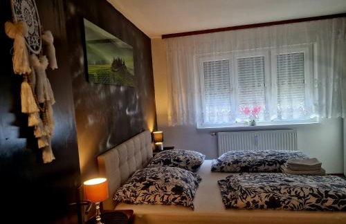 Holiday Apartment near Triberg Waterfall - Foto 23