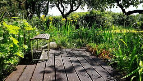 Hof Garz - Foto 2, Garden