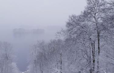 Ferienhaus Britta Kietzmann - Foto 37