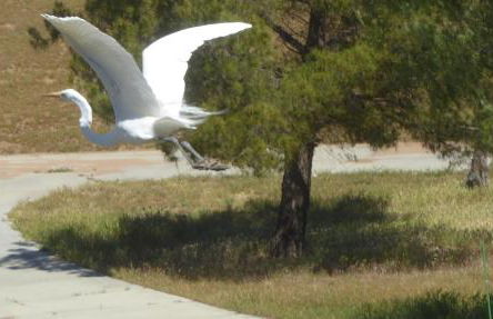 Mansion on the Hill let 4 Rooms, 5th cost extra - Foto 33