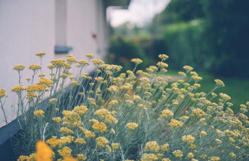 Fermette les Ormes, 8 personnes, Merlimont village - Foto 18